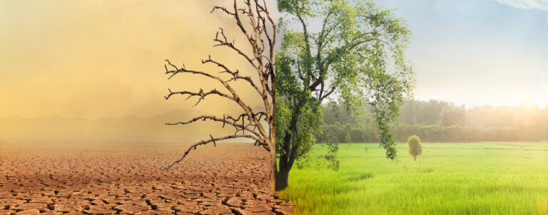 HEP_Vaud_photo_climat-jeunes_1400x550