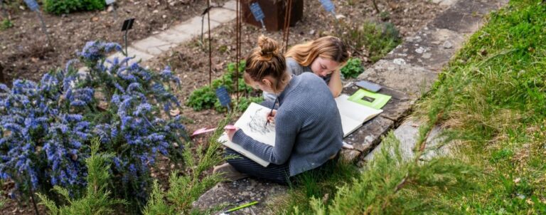 hep_vaud-rapport_annuel_2024-bachelor_enseignement_secondaire1