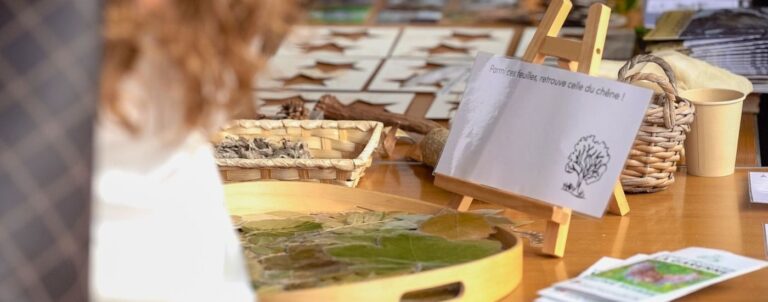 hep_vaud-rapport_annuel_2024-foire_aux_sciences_2024_6