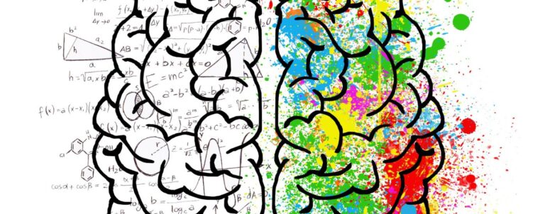 hep_vaud-rapport_annuel_2024-neurosciences_durabilite_numerique_master_ens_specialise